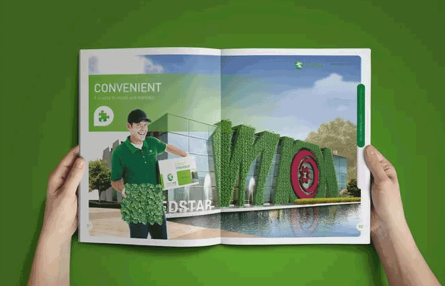 綠色主題畫冊(cè)  第6張