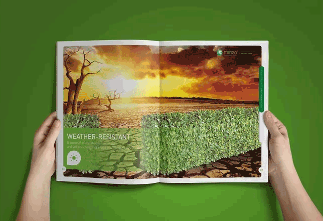 綠色主題畫冊(cè)  第4張