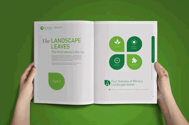 綠色主題畫冊(cè)  第2張