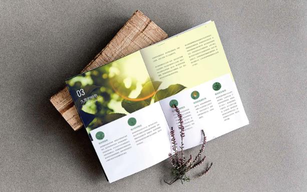 產品畫冊  第4張