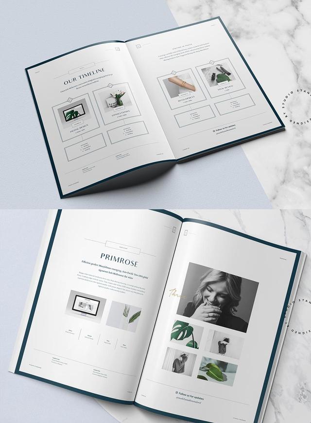 20款現(xiàn)代風格畫冊設(shè)計欣賞/折頁設(shè)計-畫冊  第13張