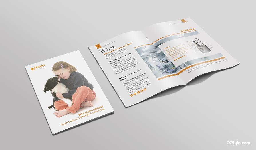 上海畫(huà)冊(cè)印刷廠  第2張