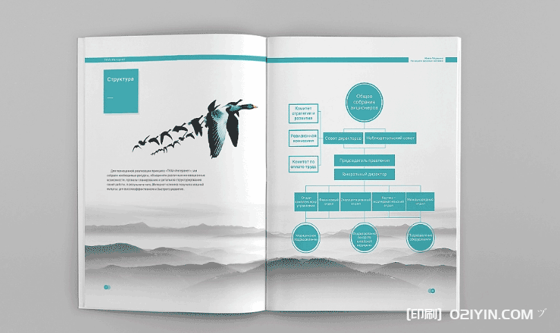 上海進(jìn)口醫(yī)療醫(yī)藥畫冊(cè)印刷  第3張