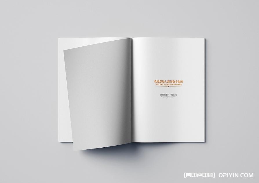 集團企業宣傳樣本印刷報價  第3張