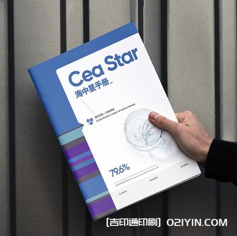 商業(yè)研發(fā)手冊設(shè)計印刷