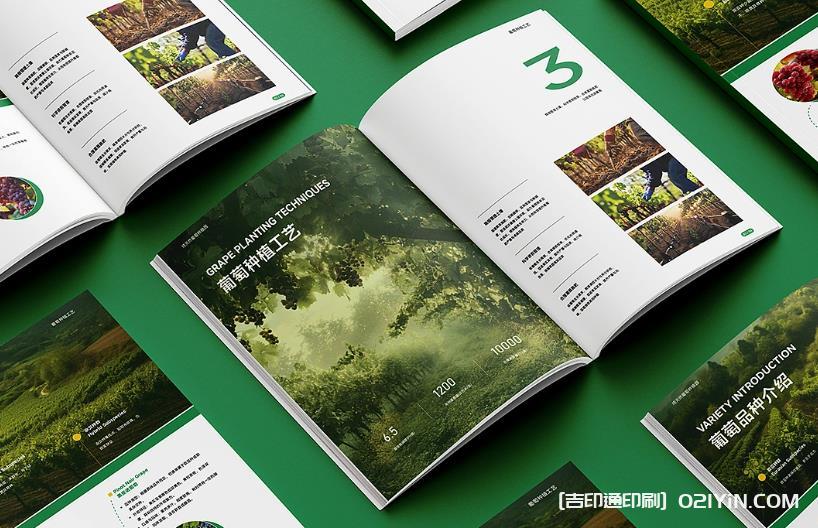 上海產(chǎn)品畫冊印刷避坑指南：文件規(guī)范、工期把控與質(zhì)量驗收要點