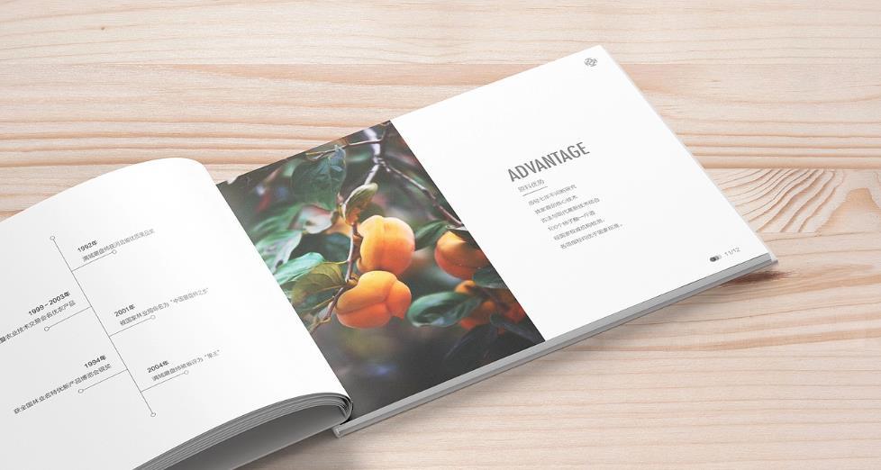 上海黃浦區畫冊印刷的設計需求有哪些？