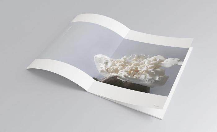 上海目錄冊印刷定制_按需排版_適配電商 / 展會 / 招商場景